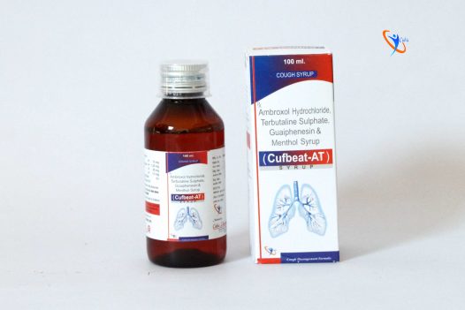 Ambroxol Hydrochloride 15 mg, Terbutaline Sulphate1.25 mg, Guaiphenesin 50 mg and Menthol 1.5 mg Syrup